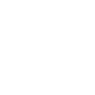 Potato Chip Icon